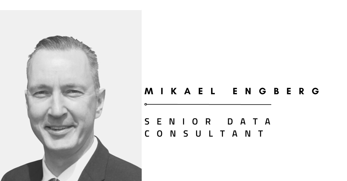 Senior Data Consultant